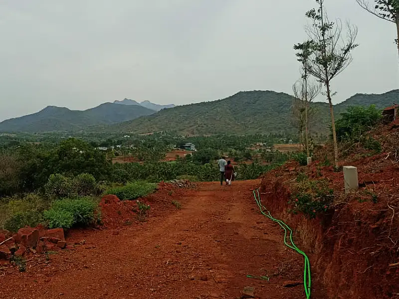Western Ghats Foothills View