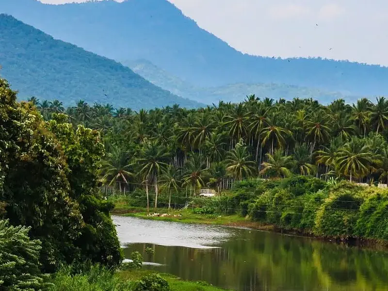 Mettupalayam Toy Train Foothills
