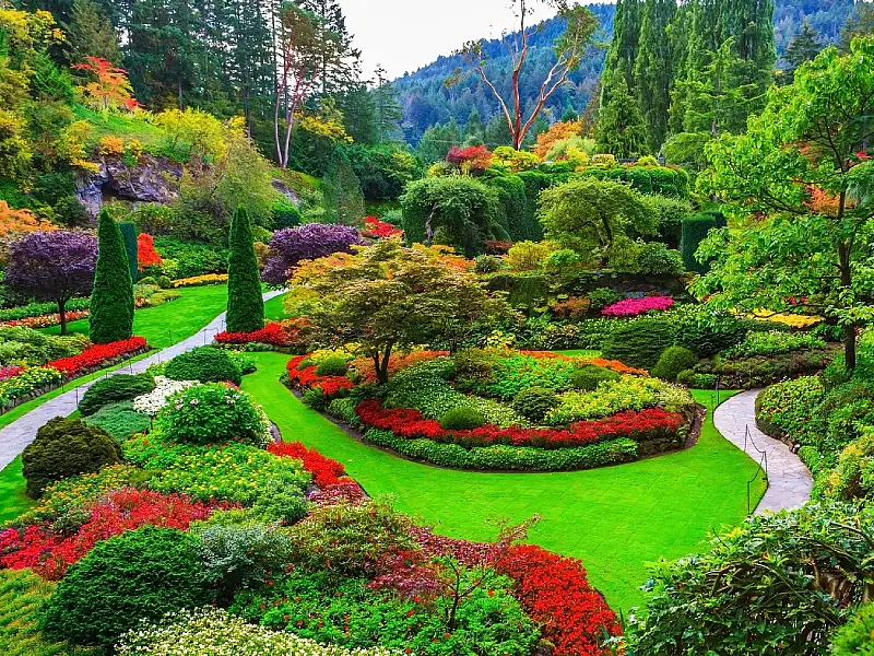 Ooty Nilgiri Hills